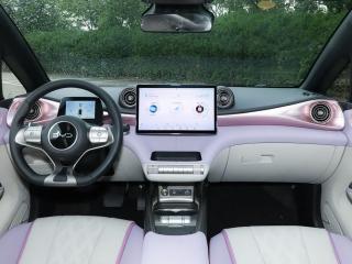BYD Dolphin 2025 Premium