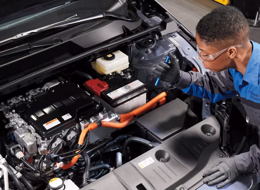 EV Battery Diagnostics & Health Check